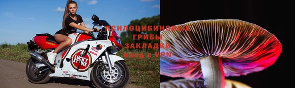 мескалин Абинск