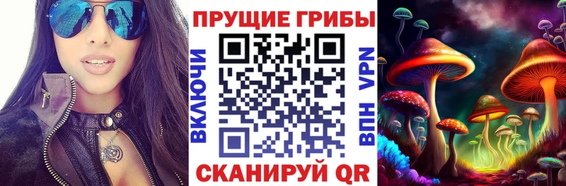 купить наркоту  Ишимбай  Галлюциногенные грибы Magic Shrooms 